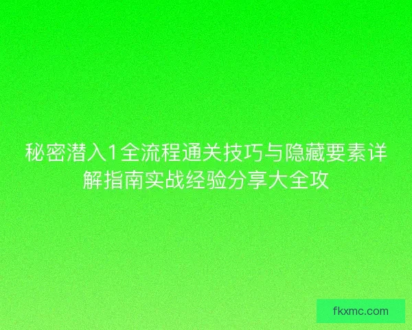 秘密潜入1全流程通关技巧与隐藏要素详解指南实战经验分享大全攻